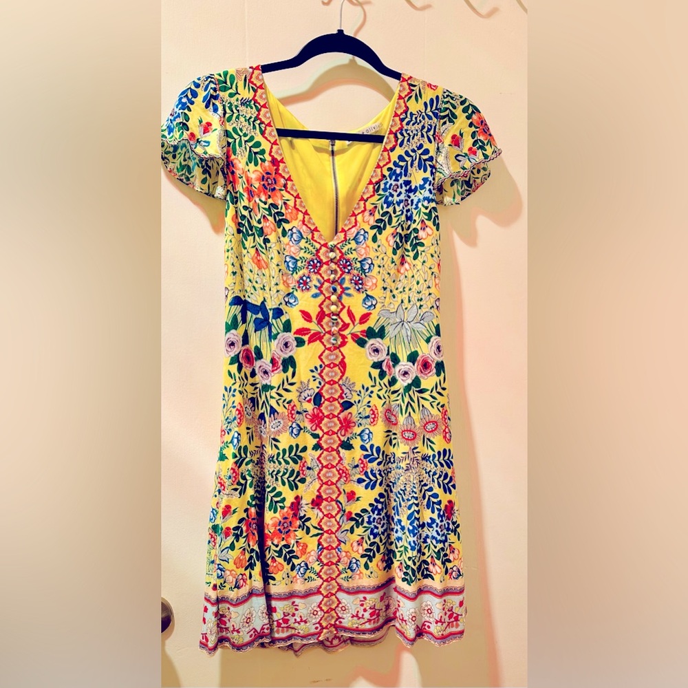 Alice & Olivia Hadley Button Front Flare dress